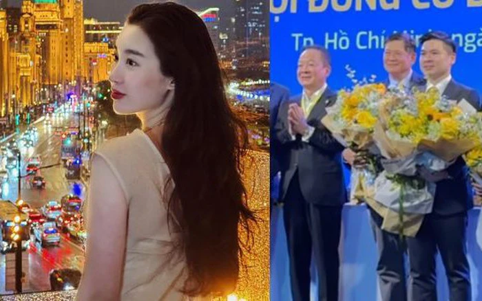 Vai trò của Đỗ Mỹ Linh trong gia đình và doanh nghiệp